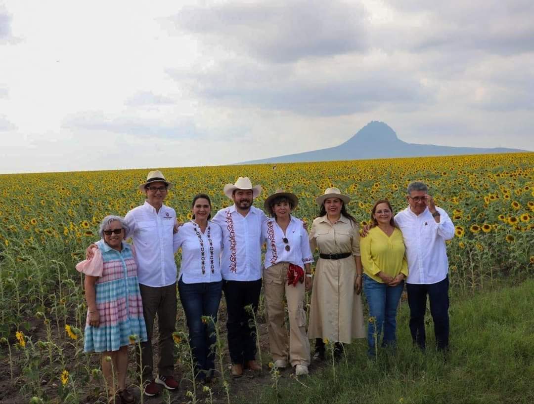 ¡Arrancó la gran temporada de Girasoles 2024 en González, Tamaulipas!