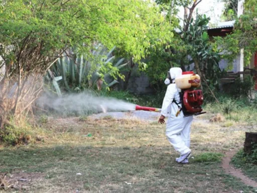 Dengue en Tamaulipas: ya son mil 807 casos confirmados, ¿qué municipios tienen más casos?