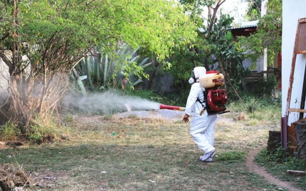 Dengue en Tamaulipas: ya son mil 807 casos confirmados, ¿qué municipios tienen más casos?