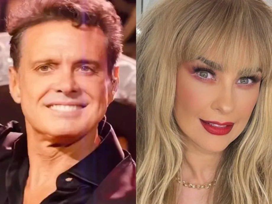 Hijo de Luis Miguel y Aracely Arámbula se lanzará como cantante el próximo año.